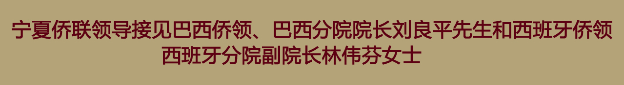 宁夏侨联领导接见巴西侨领、巴西分院院长刘良平先生和西班牙侨领、西班牙分院副院长林伟芬女士